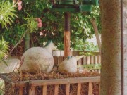 Willkommen - welcome